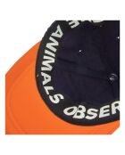 Casquette Elastic Hamster orange