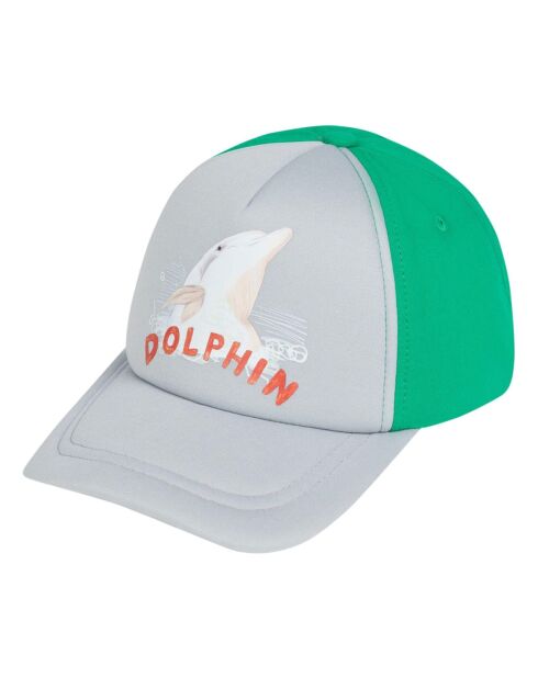 Casquette Elastic Hamster Dauphin gris/vert