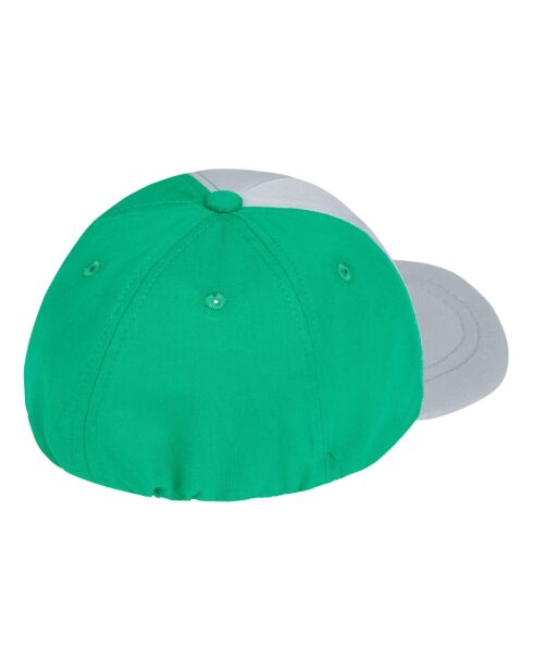 Casquette Elastic Hamster Dauphin gris/vert