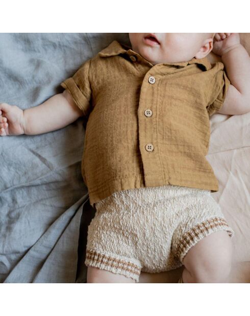 Chemise Manches Courtes David camel