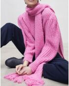 Pull Ambrosia rose
