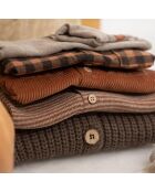 Chemise Vichy Henry marron
