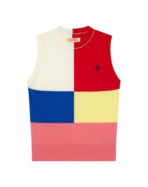 Pull Colorblock Parrot rose