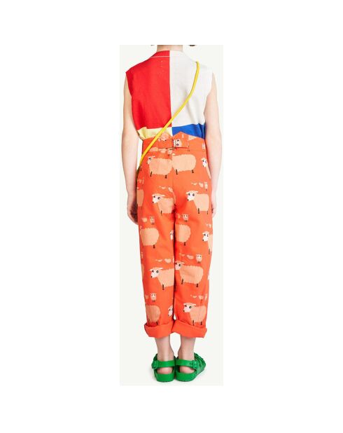 Pull Colorblock Parrot rose