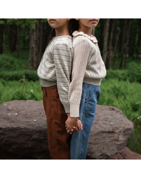 Cardigan Coton Pima Bio Rose bleu gris