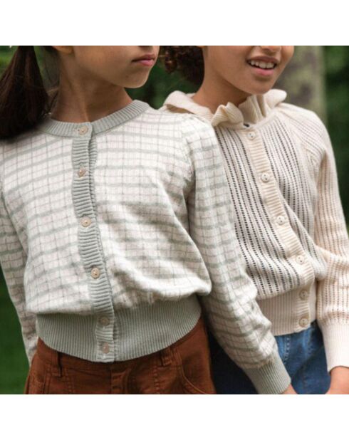 Cardigan Coton Pima Bio Rose bleu gris