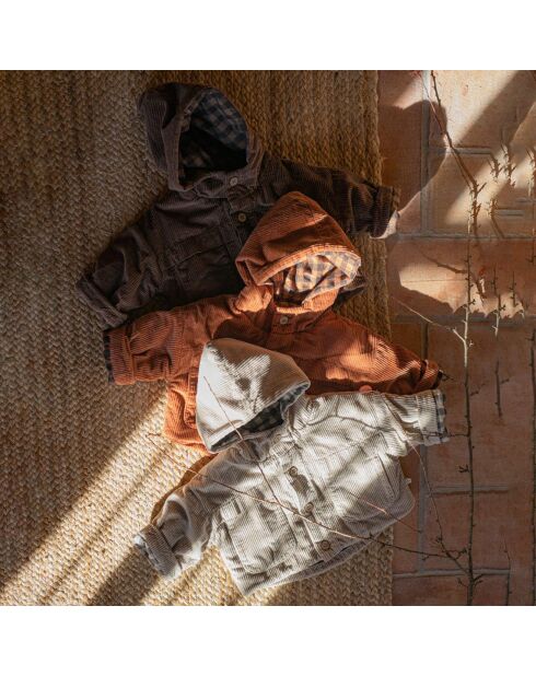 Veste à Capuche Velours Côtelé Kurt terracotta