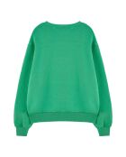 Sweat Bear vert
