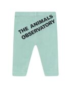 Legging Penguin bleu clair