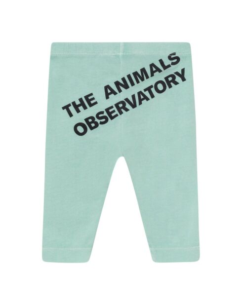 Legging Penguin bleu clair