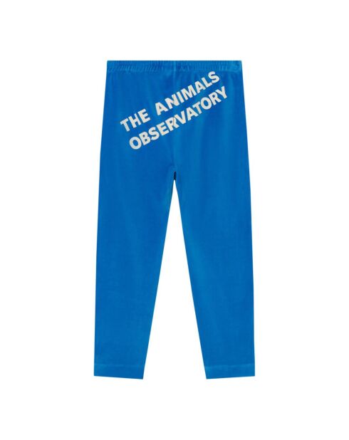 Leggings blu Camaleon in velluto