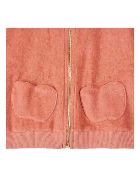 Sweat Zippé à capuche Eponge terracotta