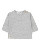Lot de 2 T-Shirts Sasha en Coton Bio gris