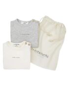 Lot de 2 T-Shirts Sasha en Coton Bio gris