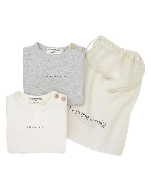 Lot de 2 T-Shirts Sasha en Coton Bio gris