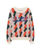 Pull Arty Bull multicolore