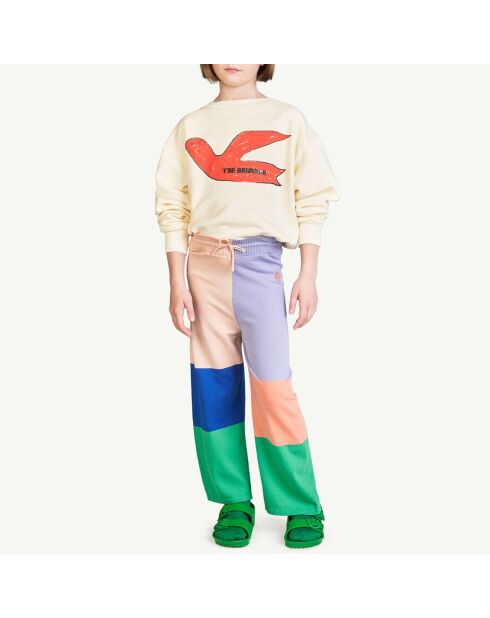 Pantalon Tricot Color Block Crow multicolore