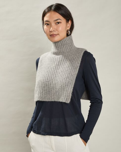Pull/Col en Yack, Alpaga & Laine mélangés Mehna argentée