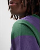 T-Shirt Blunt 3.0 rayé Ls vert/violet