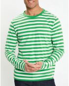 T-Shirt Regular Fit Marinière vert/blanc