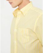 Chemise droite Color rayée jaune
