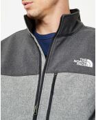 Veste Apex Bionic gris clair/gris foncé