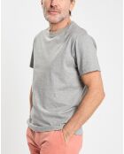 T-shirt en Jersey Regular Fit Rib gris