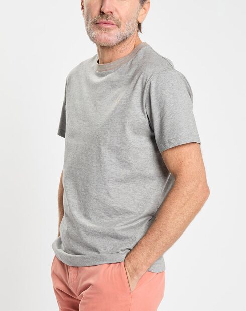 T-shirt en Jersey Regular Fit Rib gris