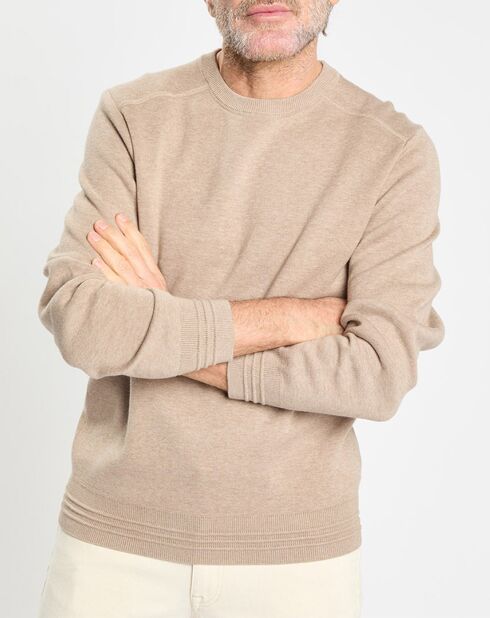 Pull col rond uni beige