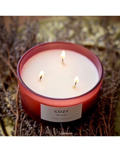 Bougie parfumée Nectarine rouge - D.11xH.6 cm