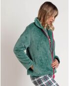 Peignoir Be Kind to the Planet C vert feuille