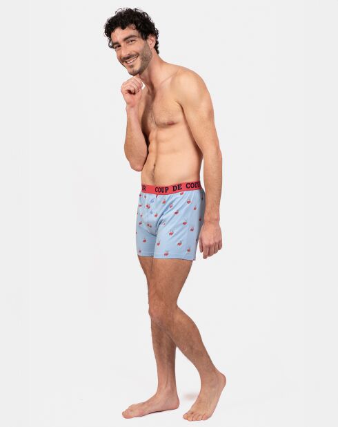 Boxer Damien bleu ciel