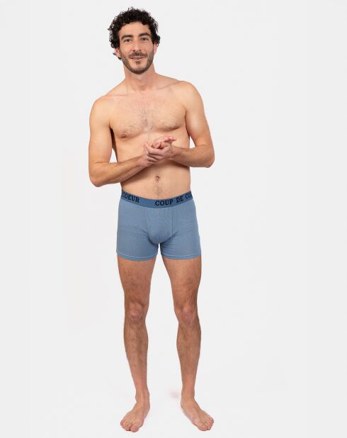 Boxer Alain bleu