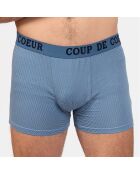 Boxer Alain bleu