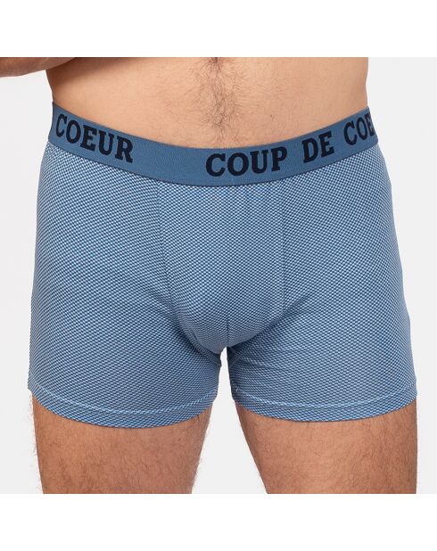 Boxer Alain bleu
