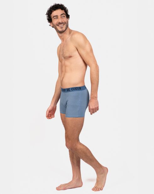 Boxer Alain bleu