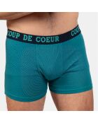 Boxer Alain vert