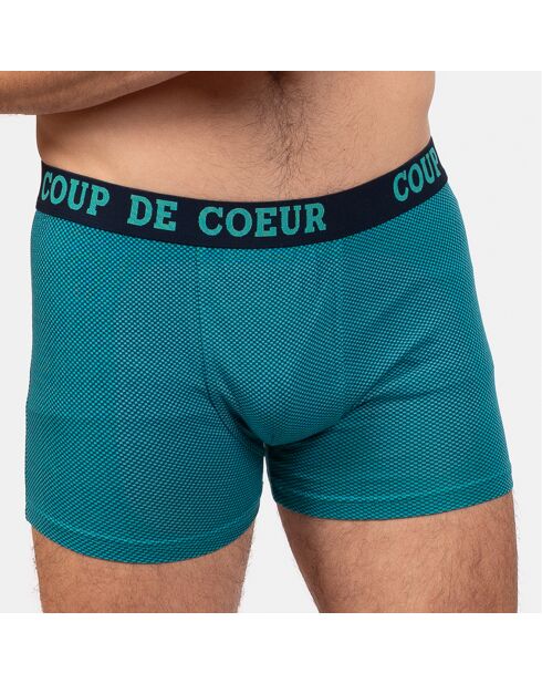 Boxer Alain vert
