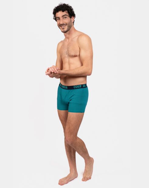 Boxer Alain vert