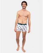 Boxer Eric blanc/bleu marine