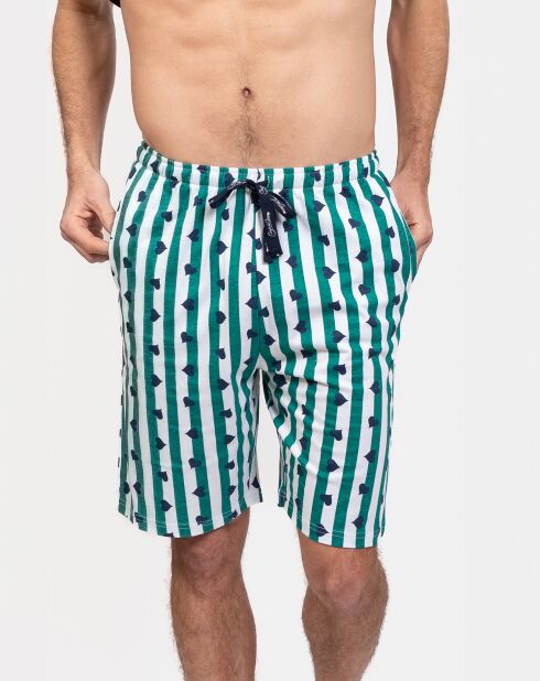 Pyjama court Jules bleu/vert