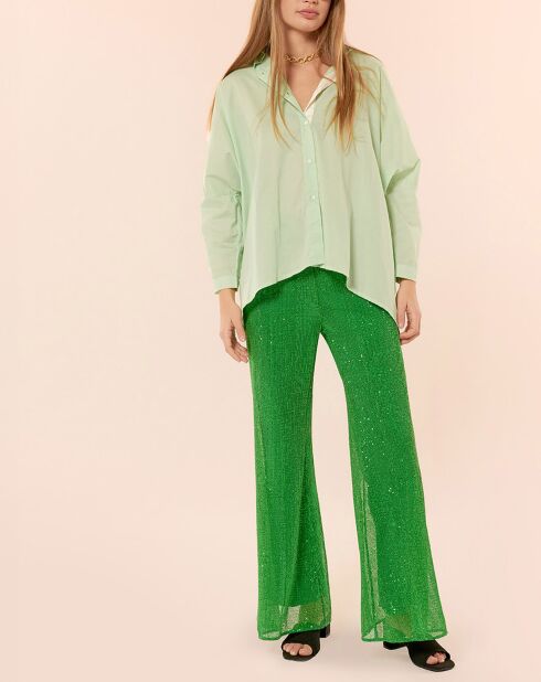 Pantalon Steevie citron vert