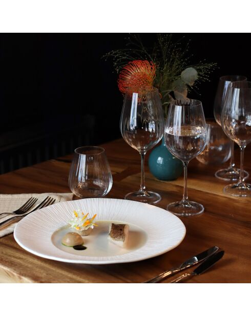 6 Verres à pied Astral transparent - 50 cl