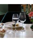 6 Verres à pied Astral transparent - 50 cl