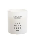 Bougie en cire 100 % végétale au parfum de jasmin