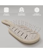 Brosse ano recyclable