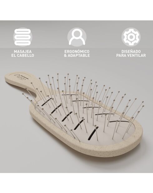 Brosse ano recyclable