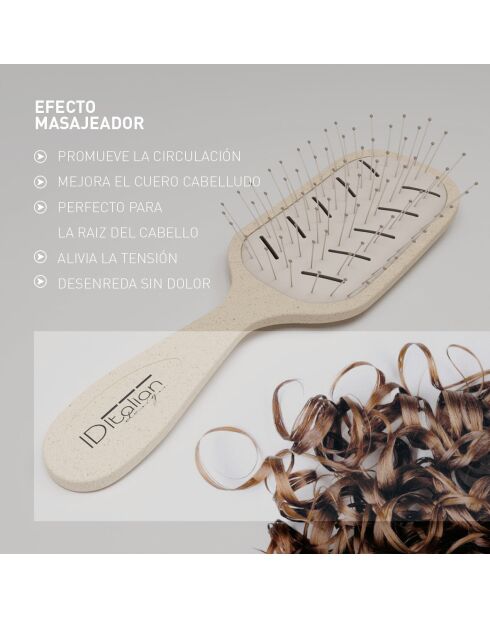 Brosse ano recyclable