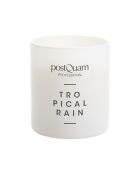 Bougie en cire 100 % végétale au parfum de pluie tropicale
