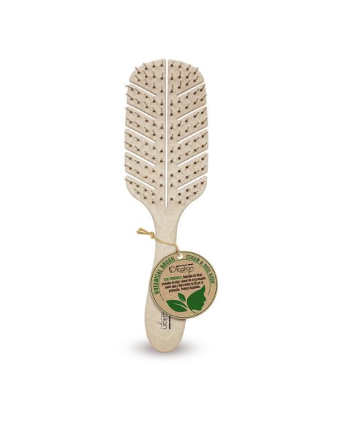 Brosse à picots recyclable